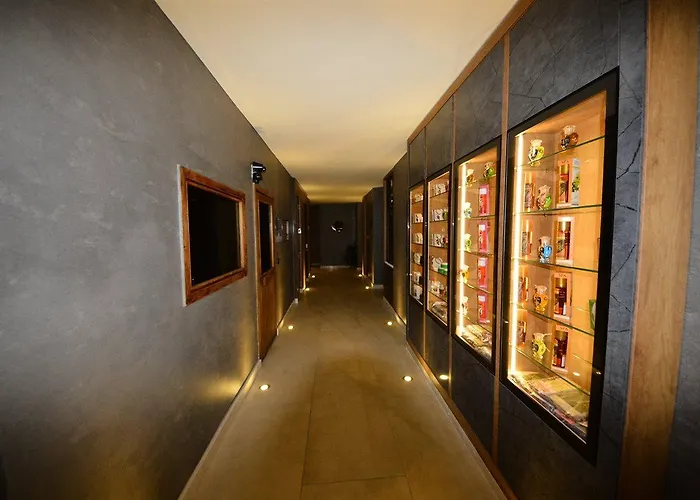 Hotel Idas Club